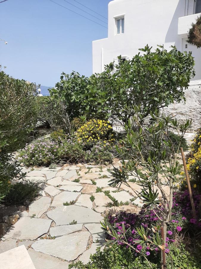 Gasthuis Angela's Mykonos Town
